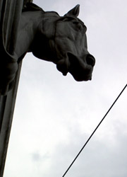 pferdekopf an der halle
